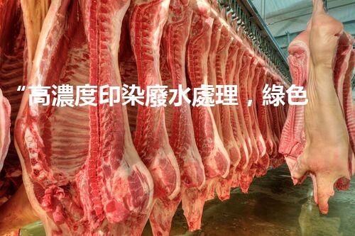 “高濃度印染廢水處理，綠色創(chuàng)新，凈享環(huán)保新篇章”